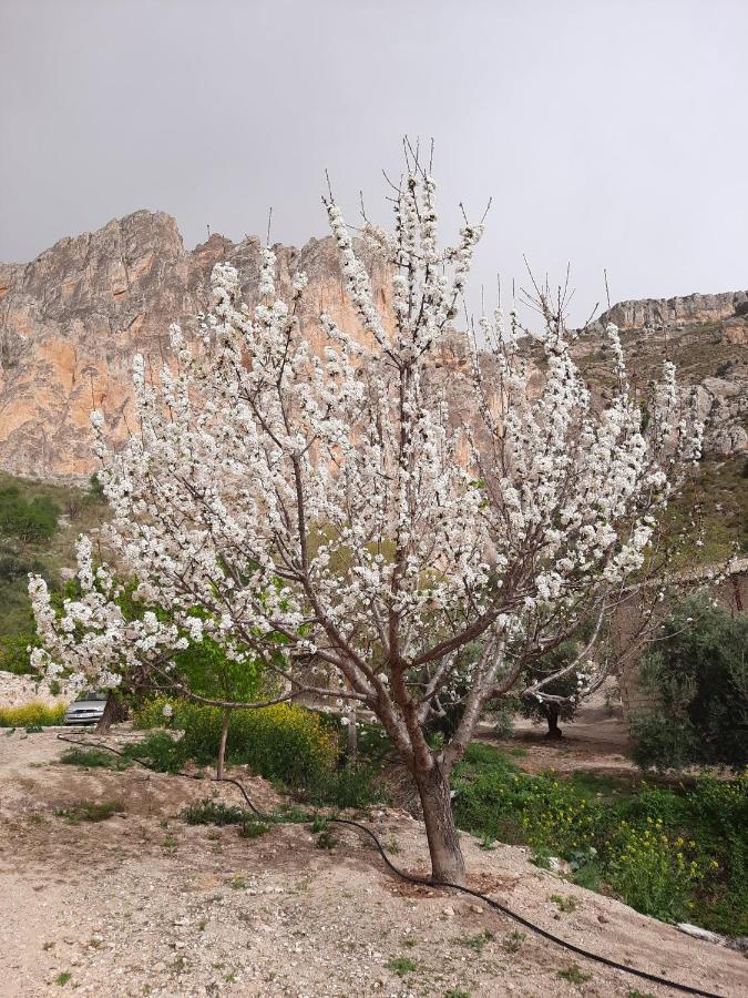 Cortijo el Chorreadero en Parque Natural Sierra de Cazorla Los Rosales  Exterior foto
