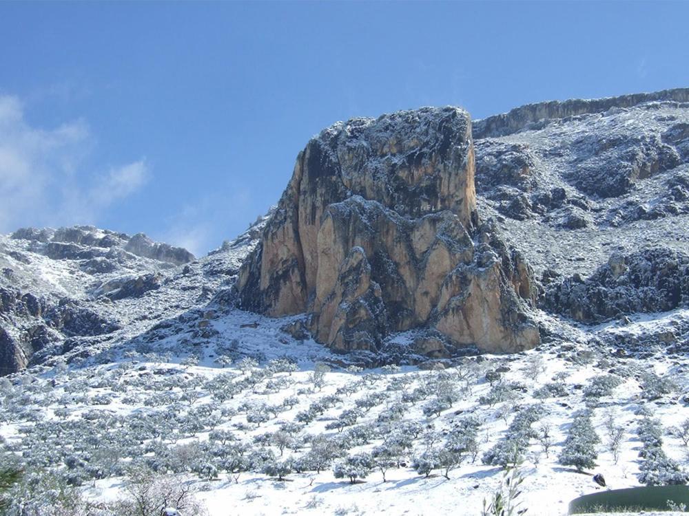 Cortijo el Chorreadero en Parque Natural Sierra de Cazorla Los Rosales  Exterior foto